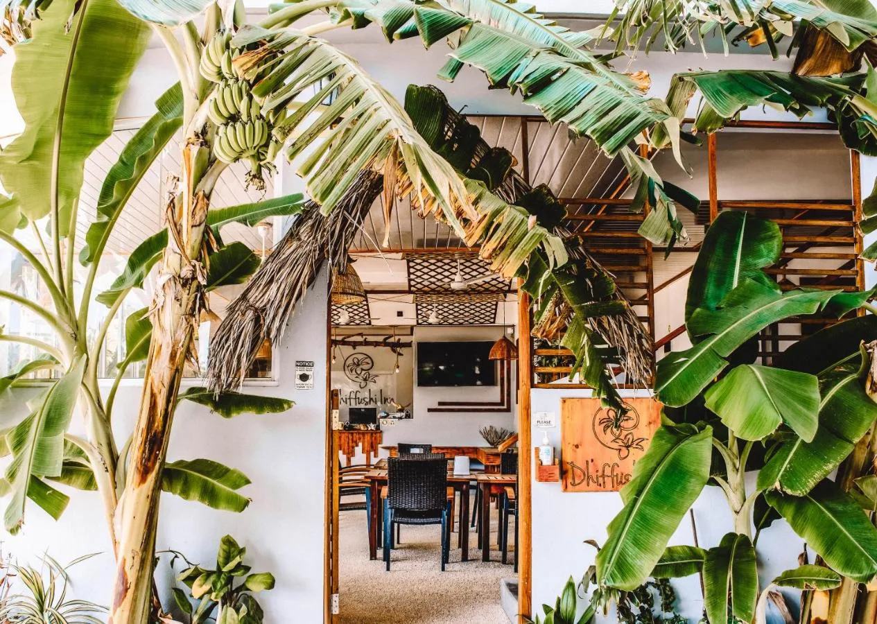Dhiffushi Inn provides island style rooms right next to the beach. There you can find our beach bar offering tropical fresh juices and mocktails, sun loungers, volleyball and table tennis.