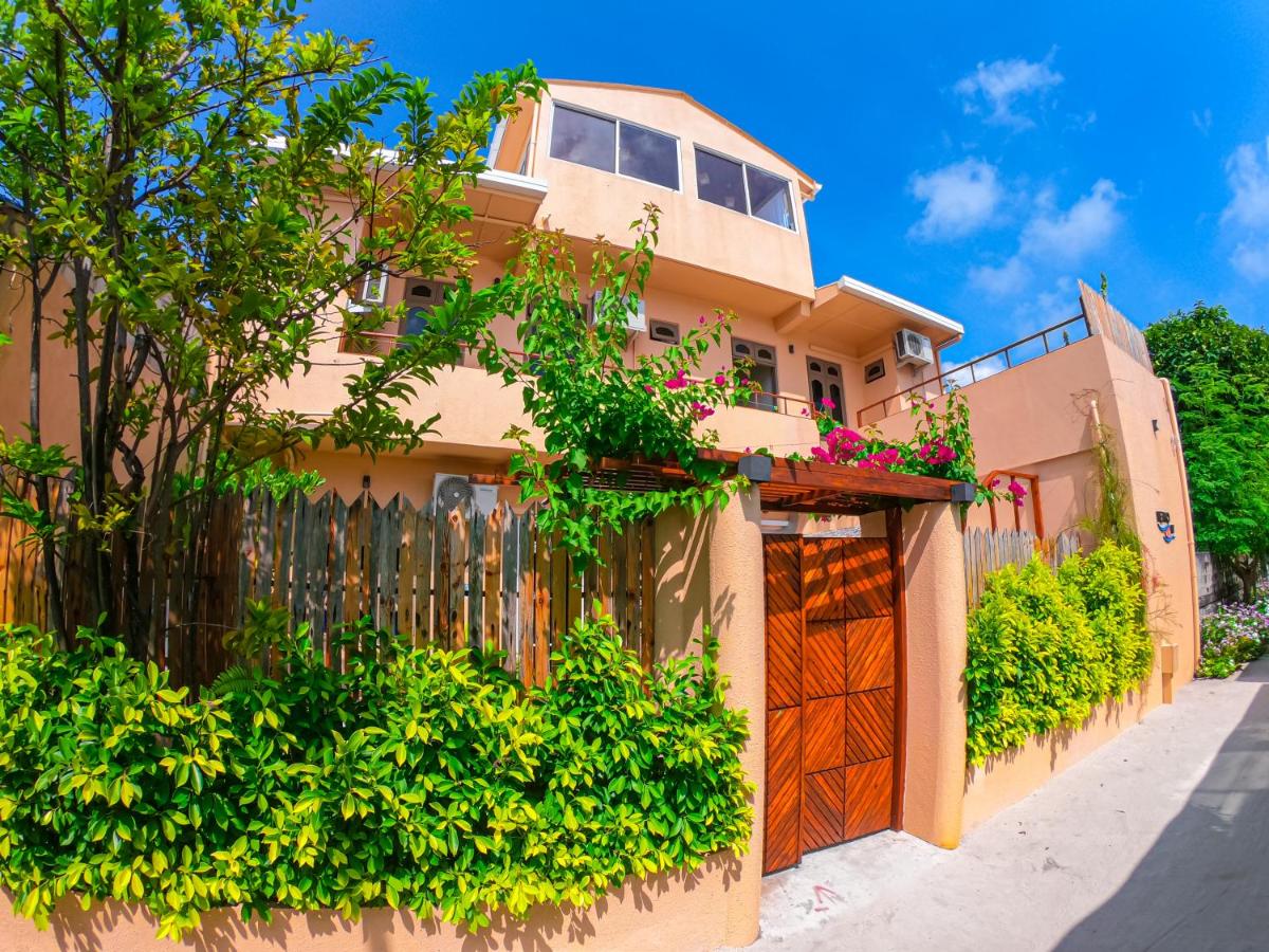 Offering a wonderful blend of comfort and affordability, Nemo Inn boasts clean rooms close to the beach.