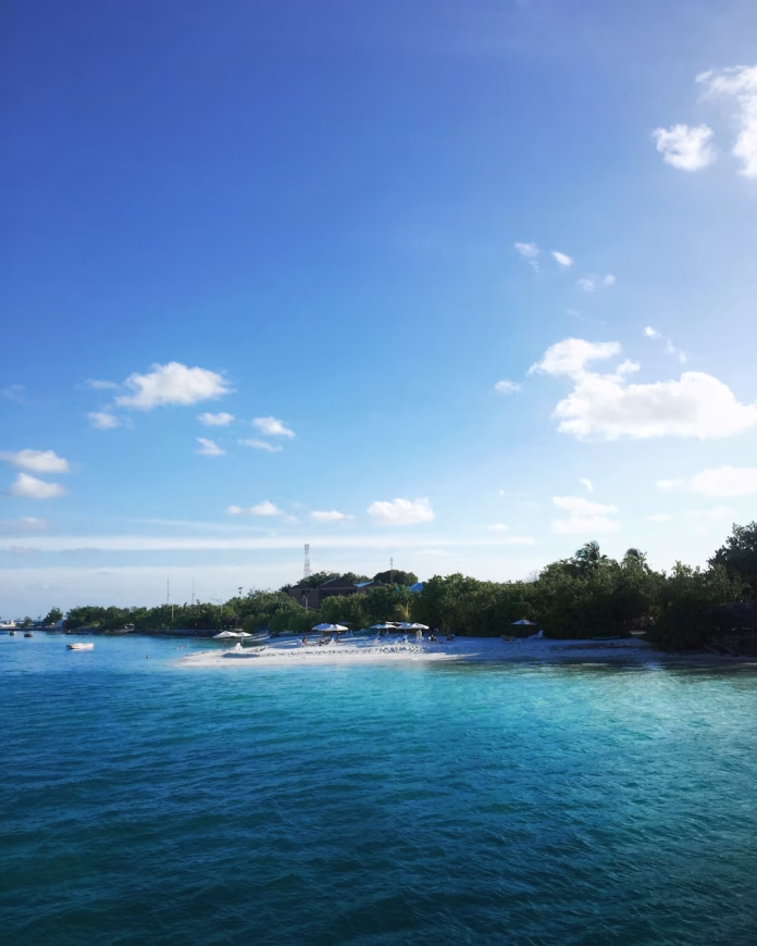 Golden hour on Dhiffushi Island, Maldives – coconut palms swaying over powder-white sand meeting turquoise lagoon waters in Kaafu Atoll