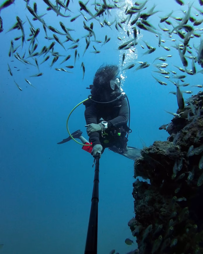 Scuba divers exploring vibrant coral gardens in the Maldives, surrounded by tropical fish and clear blue water – showcasing healthy reef conservation efforts.