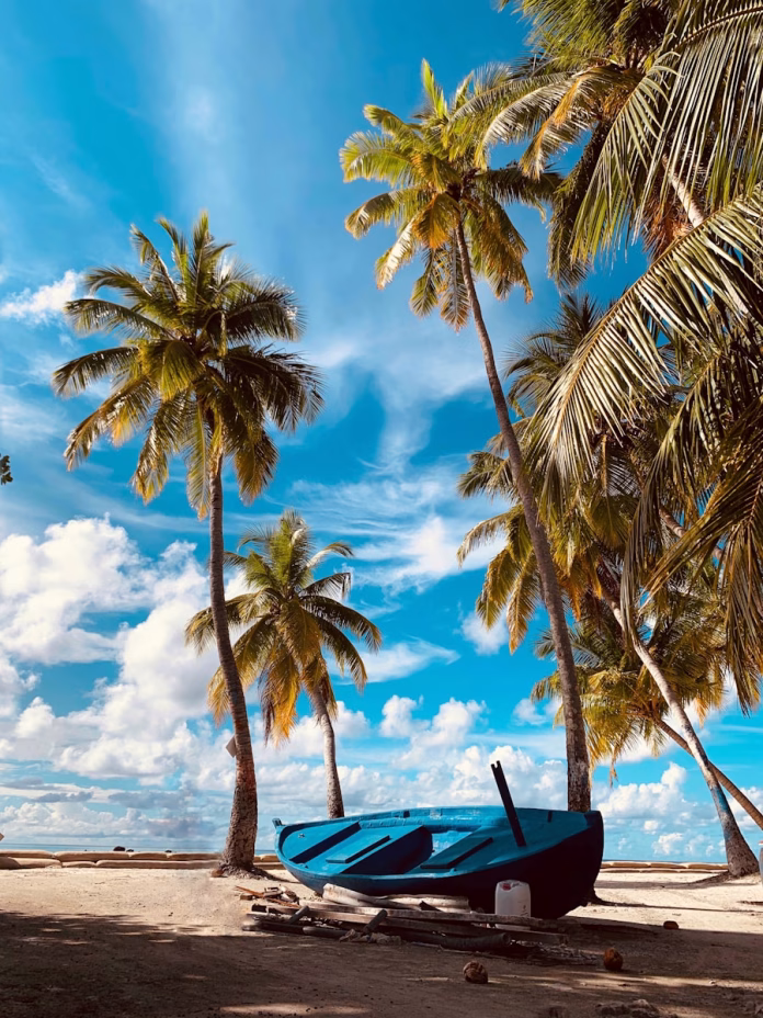 Sunlit coconut palms framing a white sand beach on Himmafushi Island, Maldives, with turquoise lagoon waters and traditional Maldivian guesthouses visible in the background