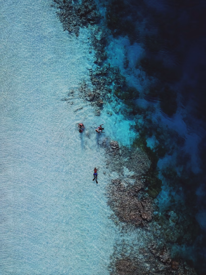 Snorkeler observing graceful stingrays gliding over Thinadhoo's vibrant house reef in Vaavu Atoll, Maldives, with sunlight filtering through turquoise waters