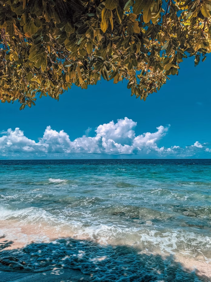 Turquoise waters of Fehendhoo Island in Baa Atoll, Maldives, meeting pristine white sand under a cloudless blue sky – an untouched paradise