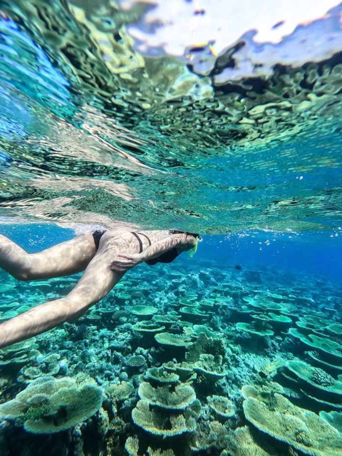 Snorkeler exploring vibrant coral reefs near Fulidhoo Island, Maldives, with colorful tropical fish and clear turquoise waters, fulidhoo-travel-guide