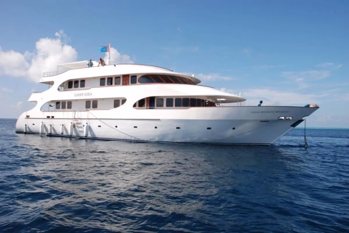 Best diving liveaboards in maldives